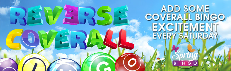 Coverall Bingo Fun