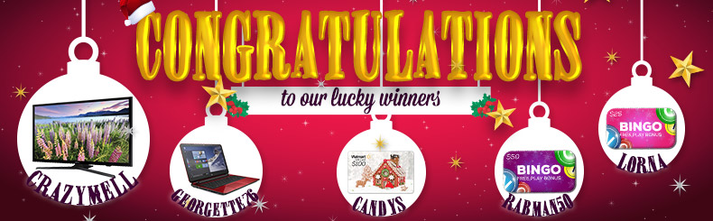 Christmas Giveaway Winners
