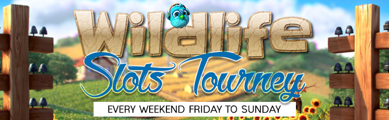 Tulalip mr bet free spins Resort Local casino